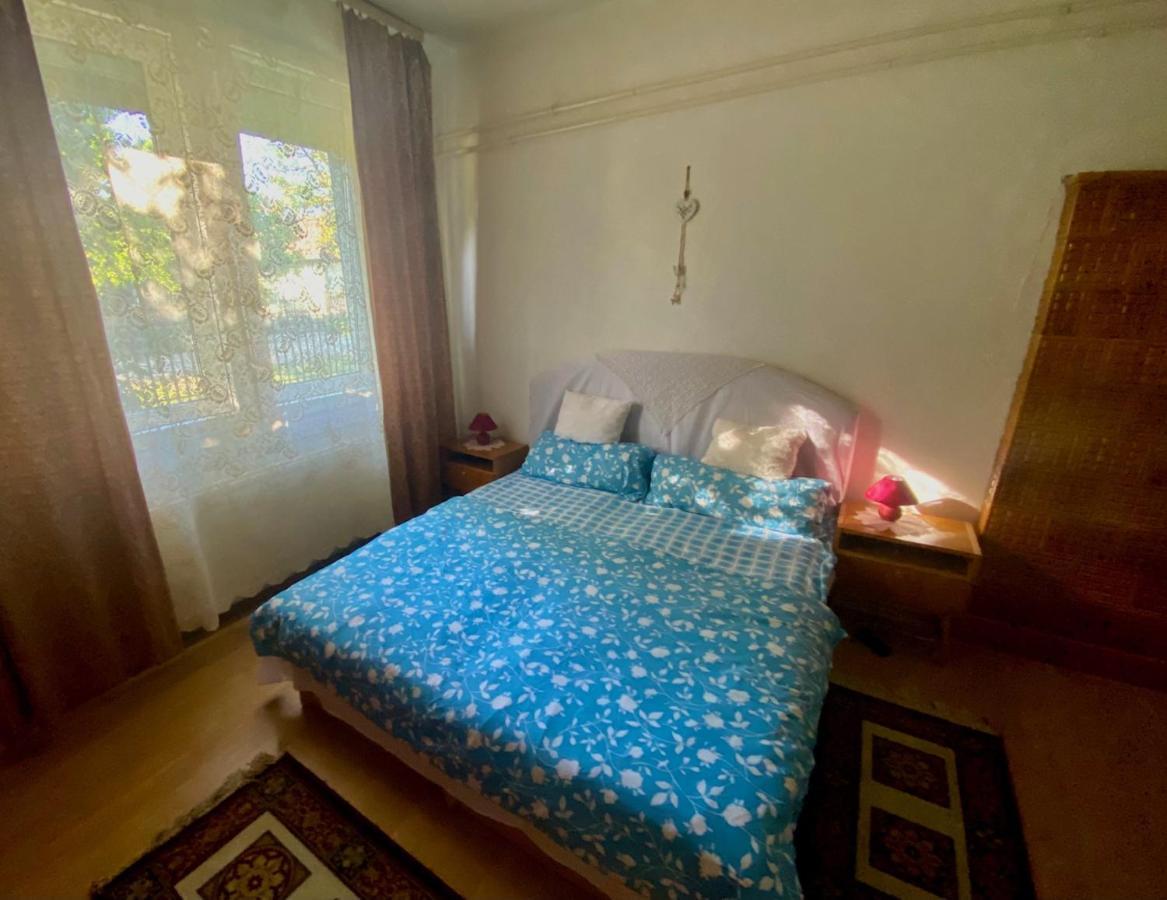 וסס Grany'S Retro Guesthouse Near Budapest Airport מראה חיצוני תמונה