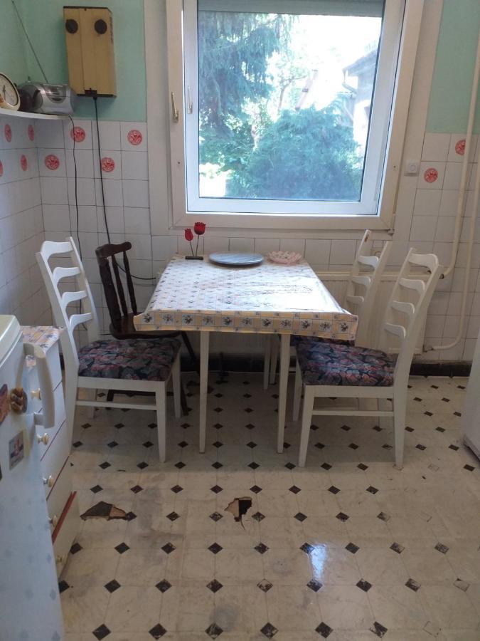 וסס Grany'S Retro Guesthouse Near Budapest Airport מראה חיצוני תמונה