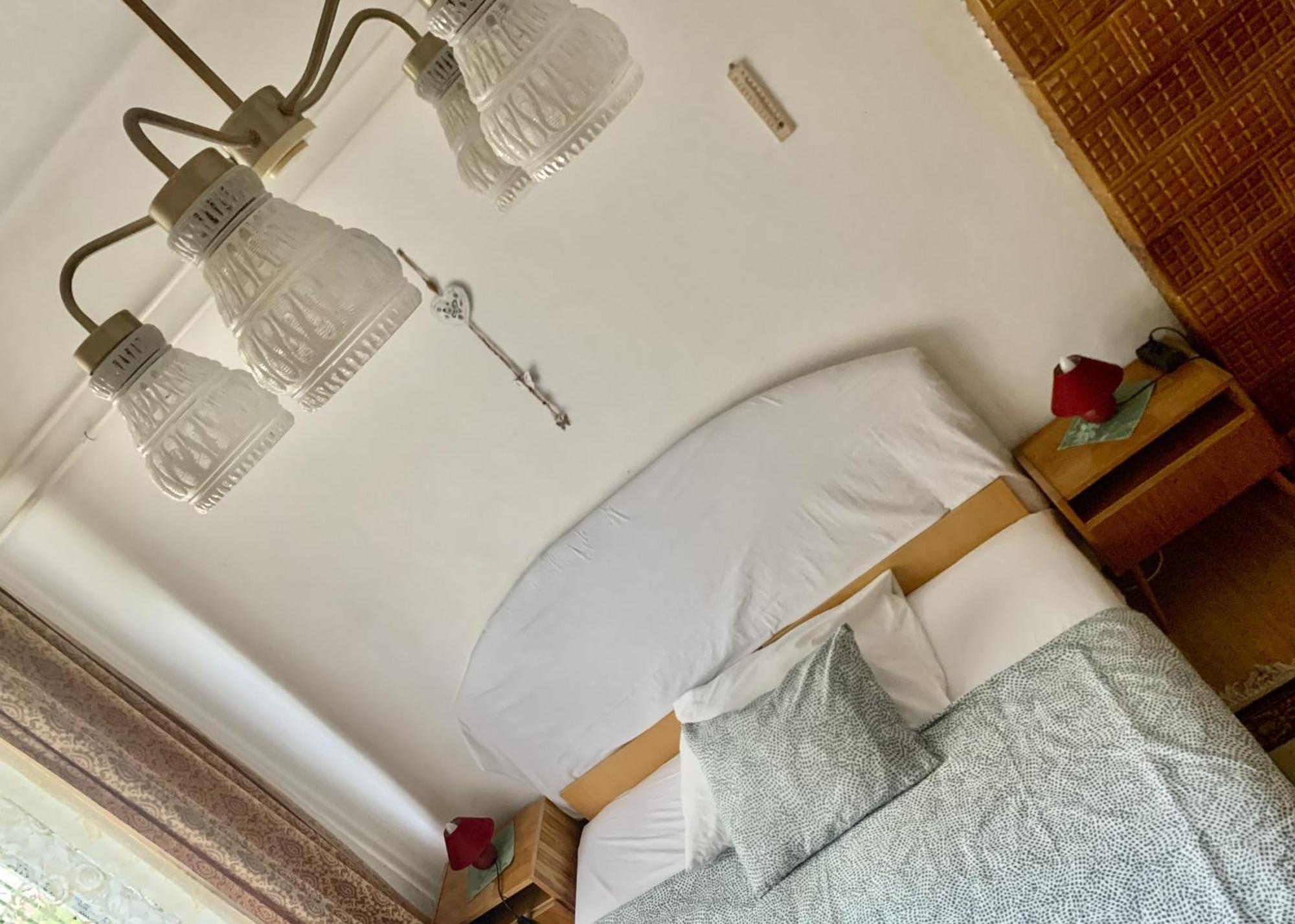 וסס Grany'S Retro Guesthouse Near Budapest Airport מראה חיצוני תמונה