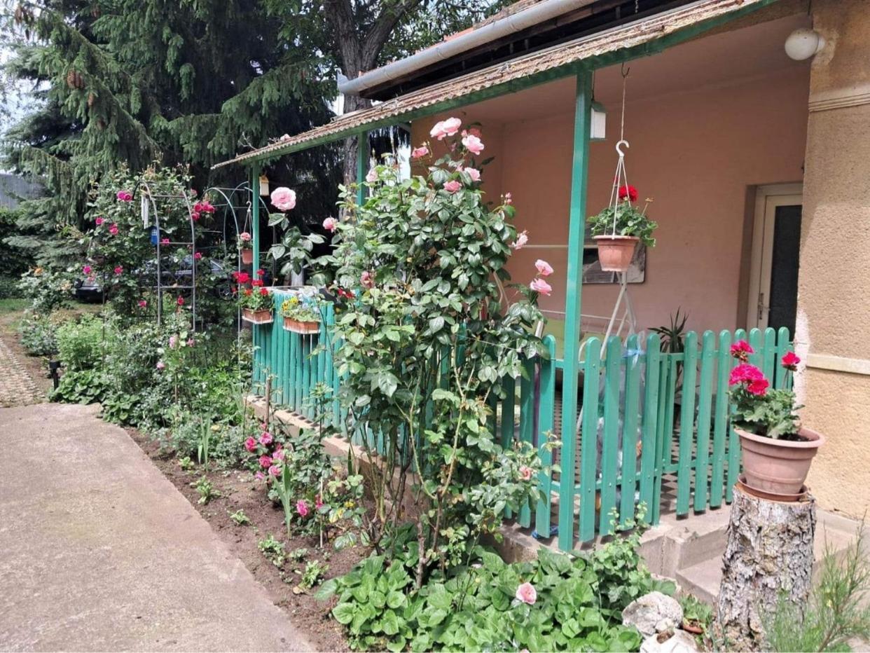 וסס Grany'S Retro Guesthouse Near Budapest Airport מראה חיצוני תמונה